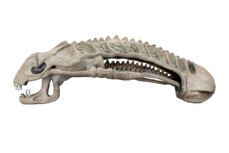 Alien 迷的終極擺設－雕塑級 Xenomorph 異形頭骨