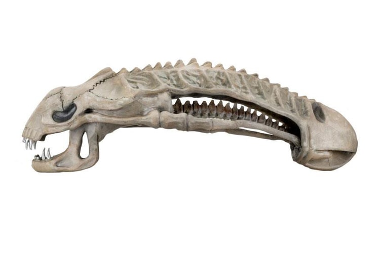 Alien 迷的終極擺設-雕塑級 Xenomorph 異形頭骨