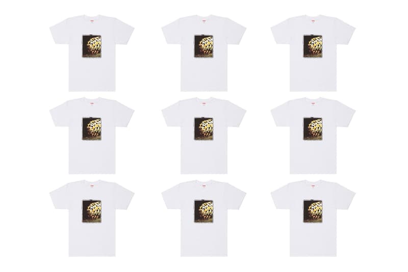 Dover Street Market Ginza 5th Anniversary Supreme, Gosha, BAPE Tees