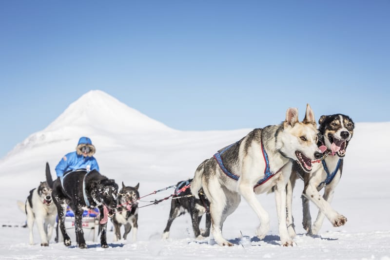北歐極地戶外體驗－Fjällräven Polar 2017 大型極地長征活動回顧