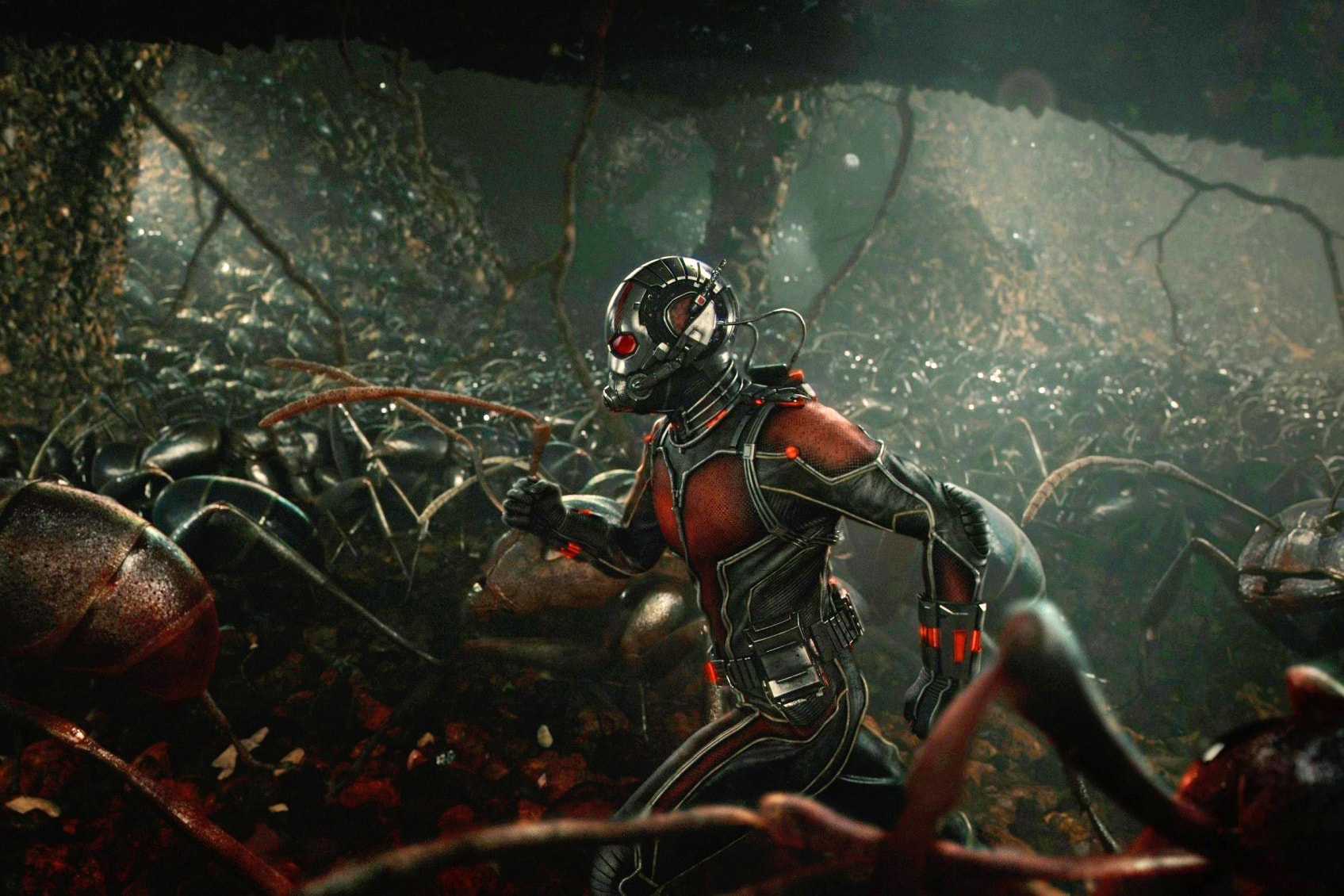 最新片場照曝光 - 穿著 Ant-Man 新戰衣亮相竟不是男主角 Paul Rudd！？