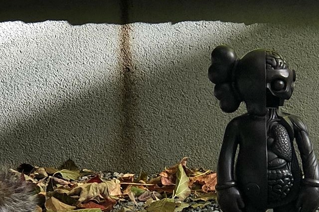 KAWS 釋出黑魂仕樣 COMPANION
