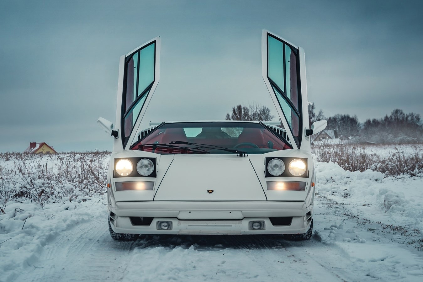 25 周年纪念版 Lamborghini Countach 现身拍卖行