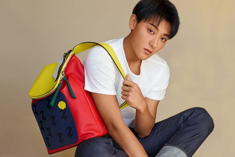 LOEWE 攜手黃子韜打造 Z.TAO Goya 聯名限量版背包