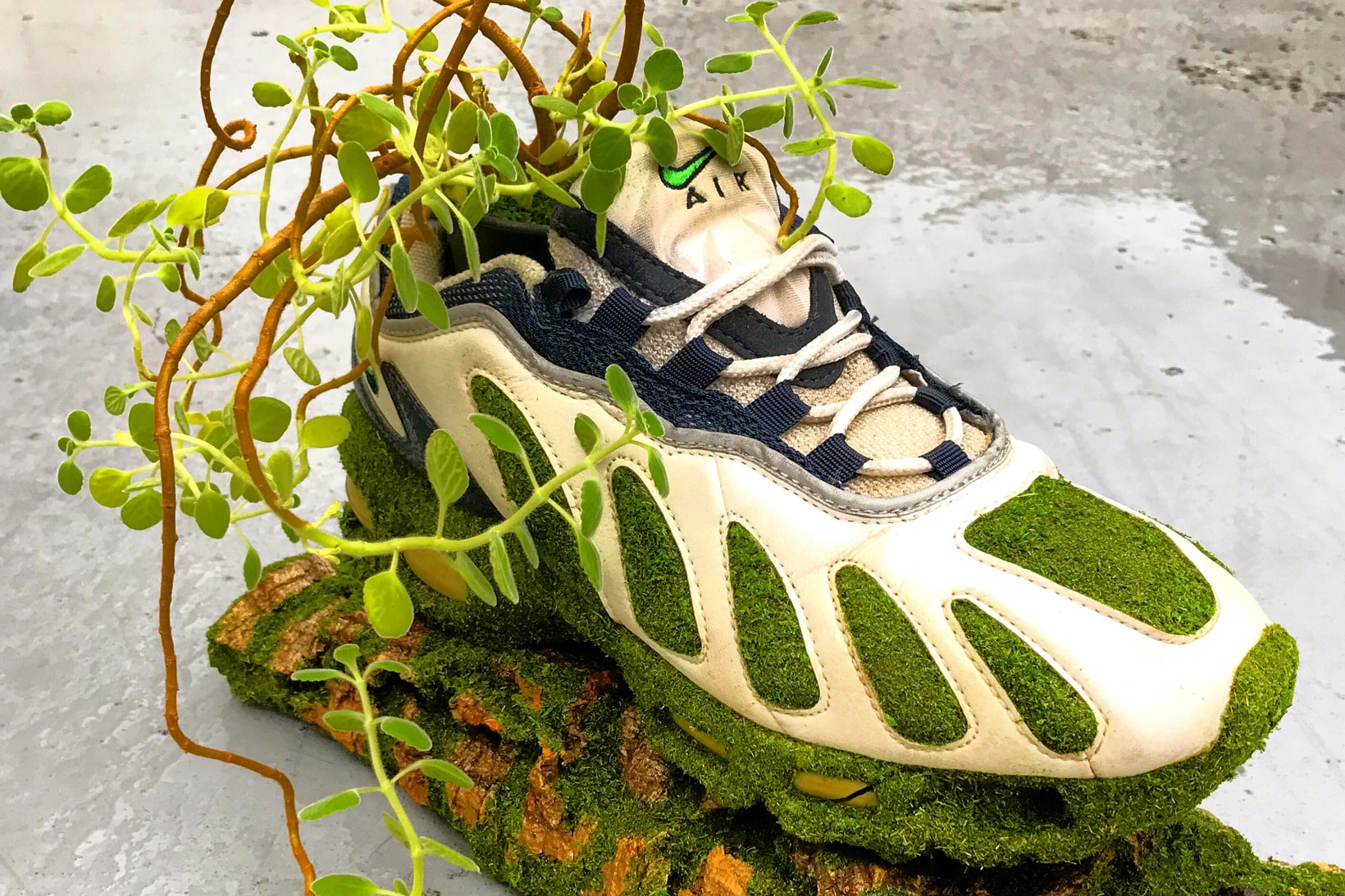 Shoetree 將于東京舉辦全新球鞋盆栽展覽