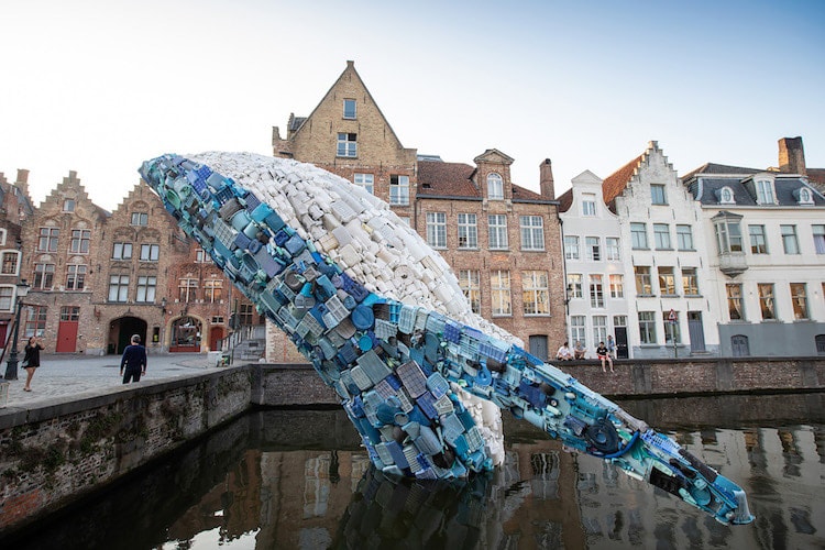 StudioKCA 為布鲁日三年展打造大型鯨魚雕像