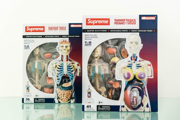 蜚聲國際!Supreme 本季人體解剖模型單品大有來頭?
