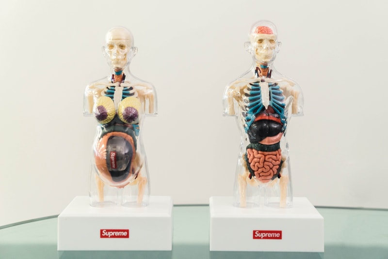 蜚聲國際！Supreme 本季人體解剖模型單品大有來頭？