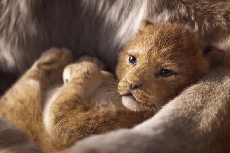 Disney 真人版電影《The Lion King》預告與動畫對照短片釋出