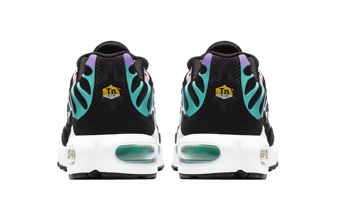 have a nike day air max plus