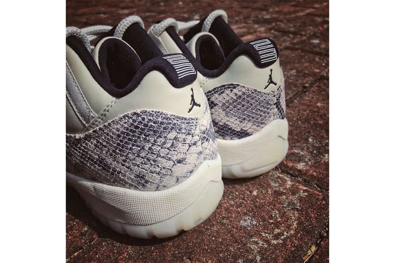 近賞 Air Jordan 11 Low SE 全新「Snakeskin」蛇紋設計