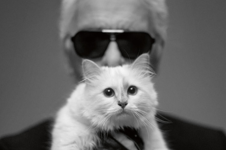Karl Lagerfeld 價值 $2.37 億美元遺產或將由愛貓 Choupette 繼承
