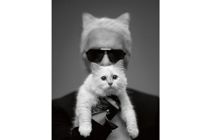 Karl Lagerfeld 價值 $2.37 億美元遺產或將由愛貓 Choupette 繼承