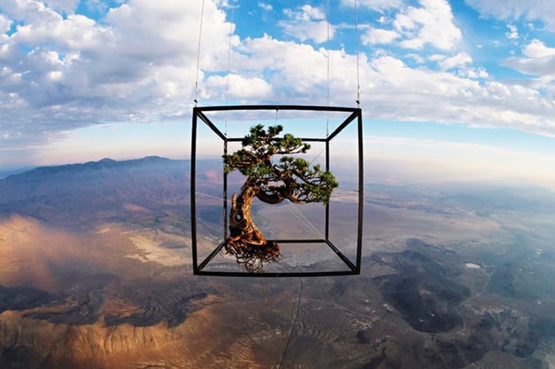 Azuma Makoto 創作 SHIKI Model Kit 「式」花藝模型