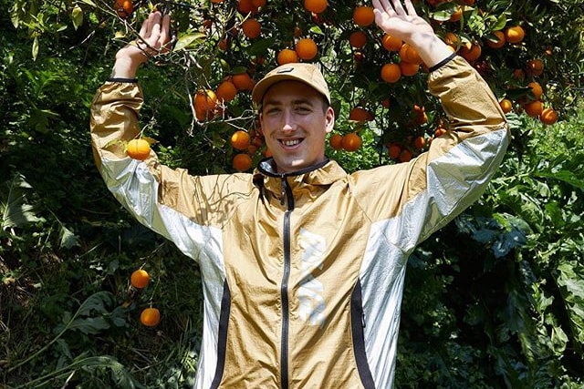 Palace 預告 2019 夏季系列即將發佈