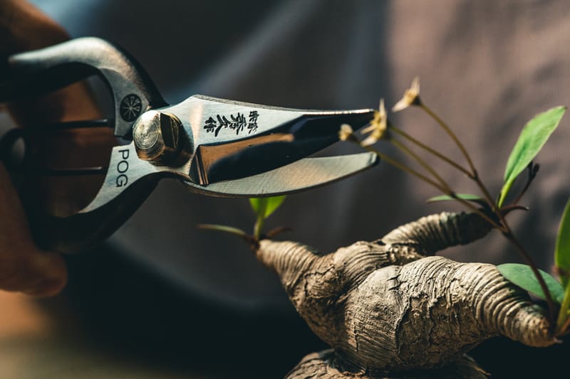 近賞 Plants of Gods x SYU 聯名限定園藝鋏