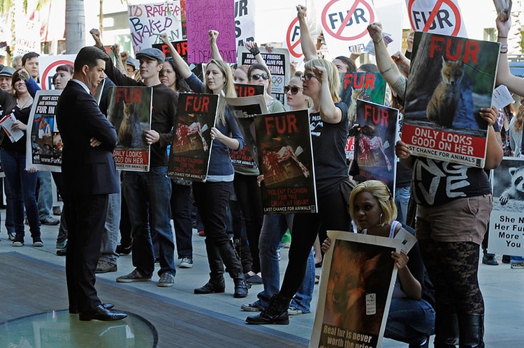美國加州法律正式禁止銷售動物皮草產品