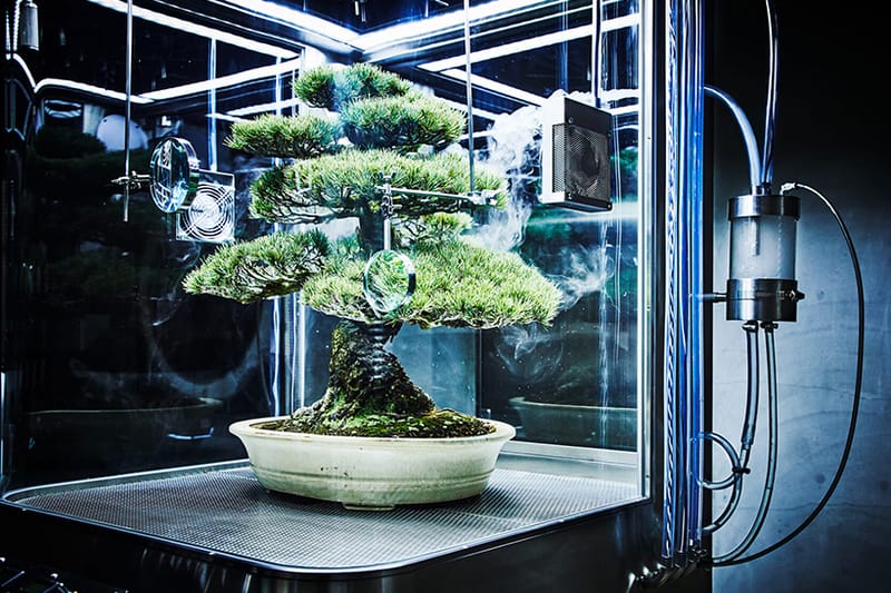 未來感植栽 - Azuma Makoto 打造全新別注微型溫室