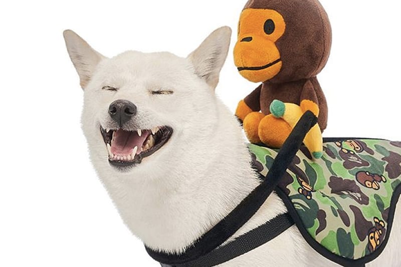 A BATHING APE® 推出 2019 秋冬 Baby Milo 全新寵物配件系列