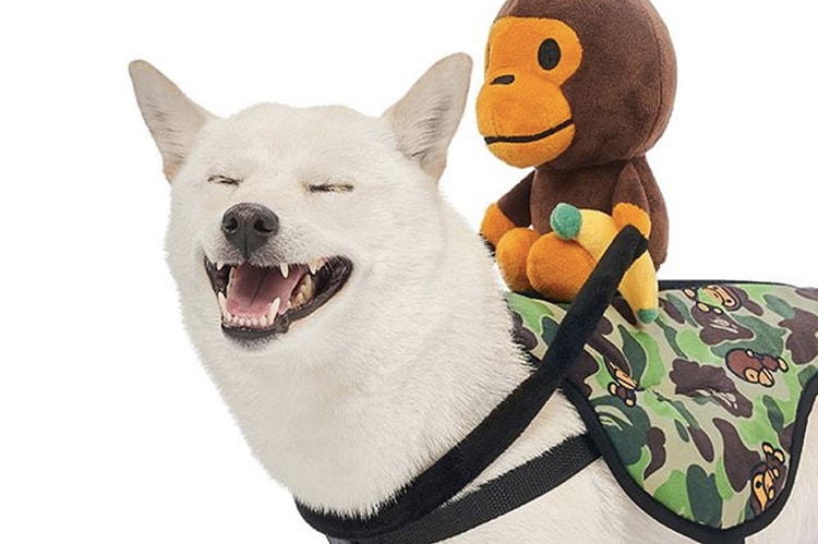 A BATHING APE® 推出 2019 秋冬 Baby Milo 全新寵物配件系列