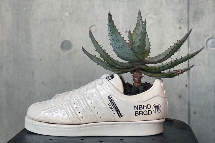 NEIGHBORHOOD 支線 Specimen Research Laboratory 推出「AloeDIDAS」陶瓷球鞋花盆