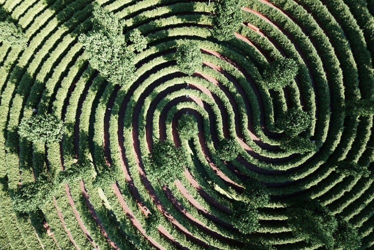 Precht Studio 全新迷宮式公園 Parc de la Distance 設計曝光