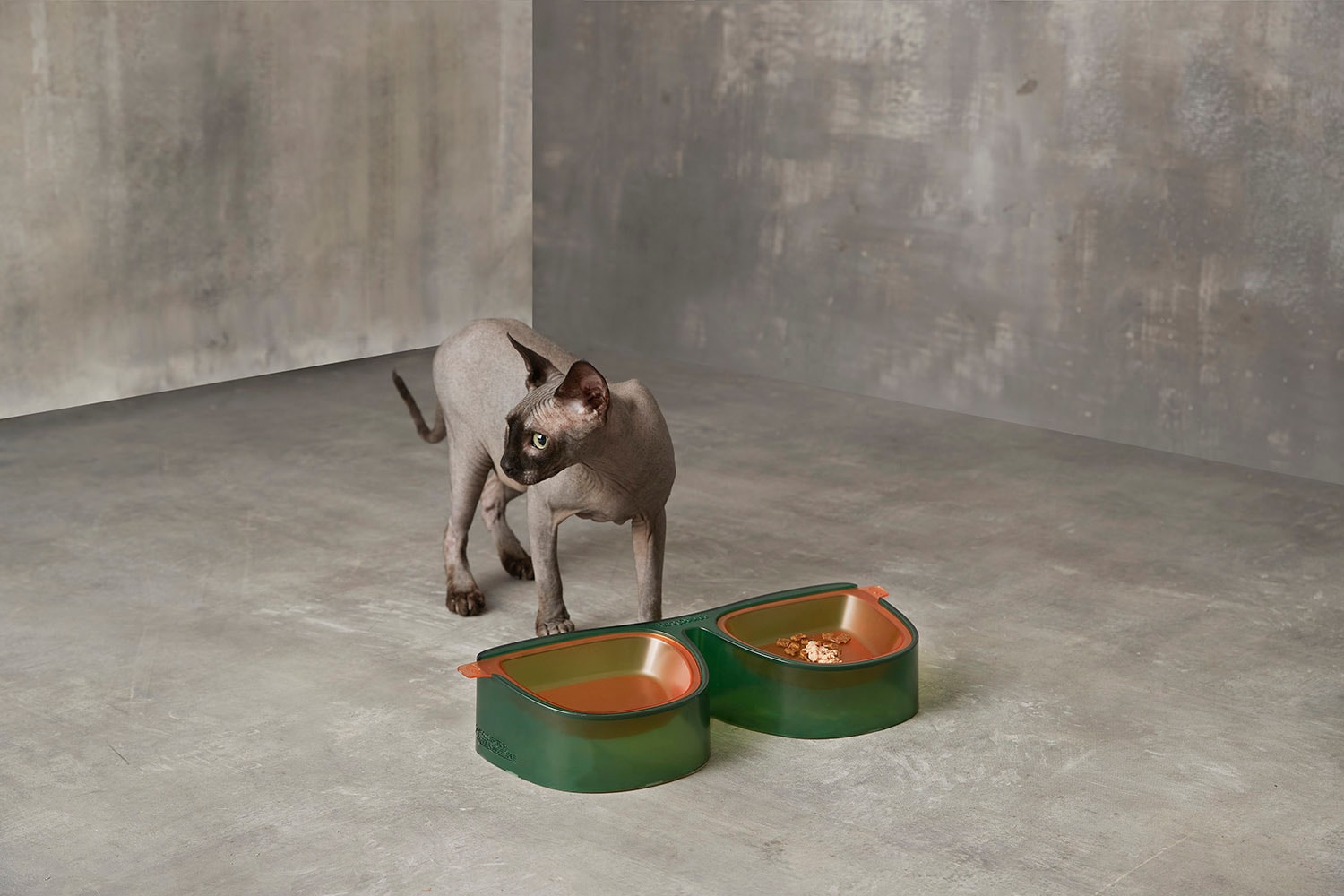 Maogoublue 全新「HEICHAO」系列猫狗喂食碗