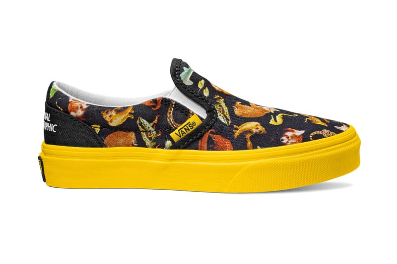 Vans x National Geographic 推出全新联名系列