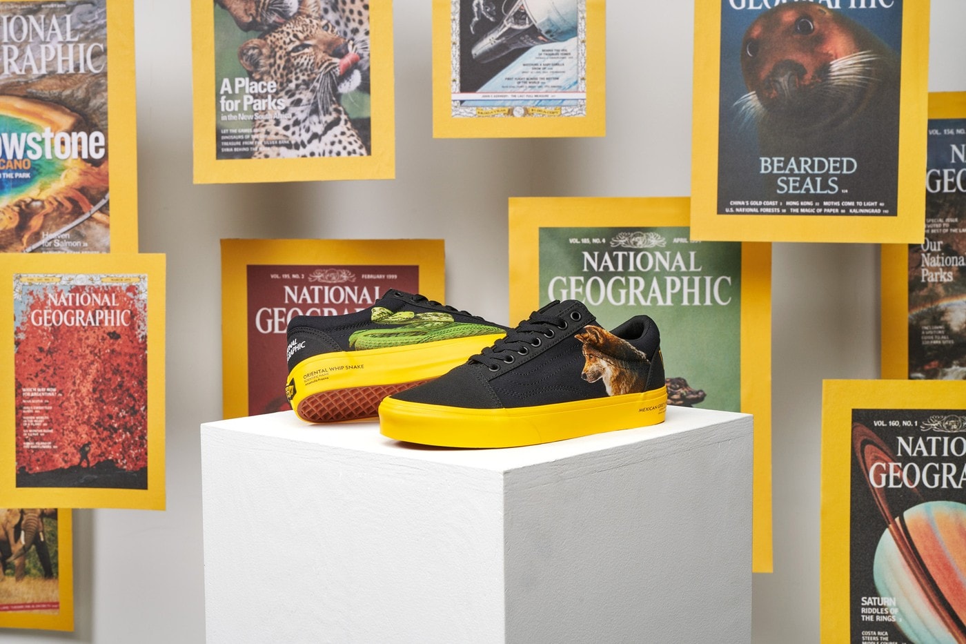 Vans 携手 National Geographic 推出探索故事联名鞋款系列