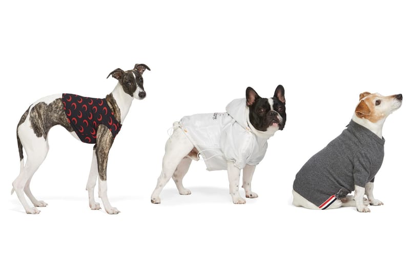 本日精选 SSENSE 8 件狗隻飾物入手推介