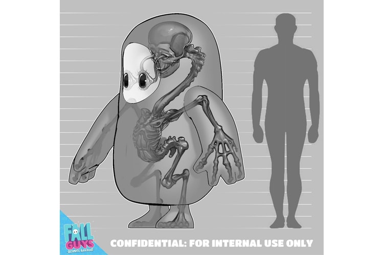 《Fall Guys 糖豆人:終極淘汰賽》官方分享「糖豆人」骨骼透視圖