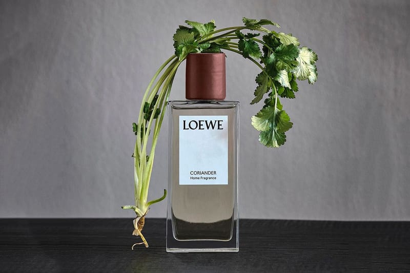 LOEWE 家居香氛系列推出全新「香菜」味調