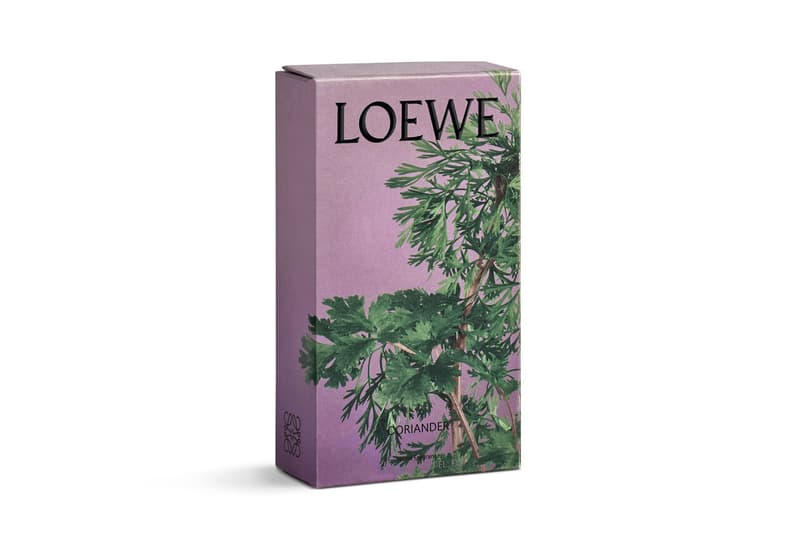 LOEWE 家居香氛系列推出全新「香菜」味調