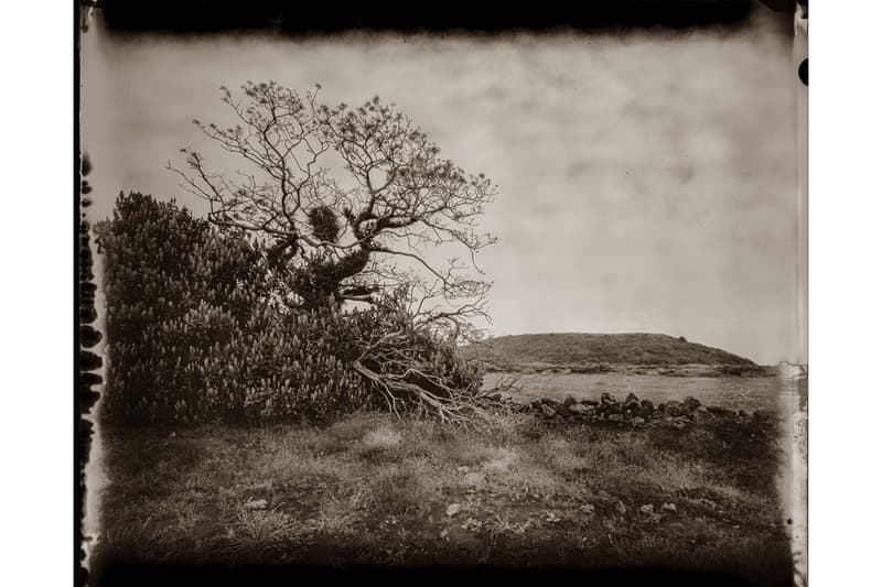 Leica 攝影大賽 Leica Oskar Barnack 獲獎作品正式公佈