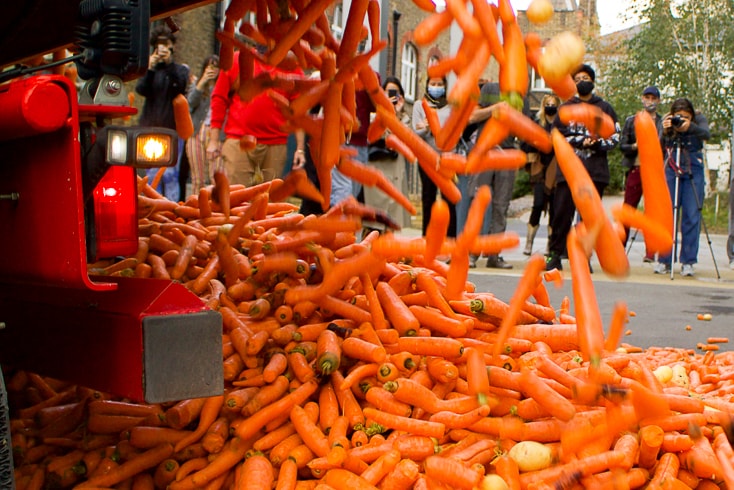 藝術系學生因「傾倒 24 萬根胡蘿蔔」之行為藝術引來廣大批評