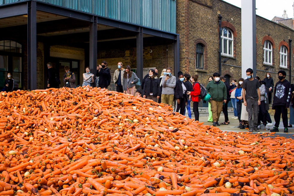 藝術系學生因「傾倒 24 萬根胡蘿蔔」之行為藝術引來廣大批評