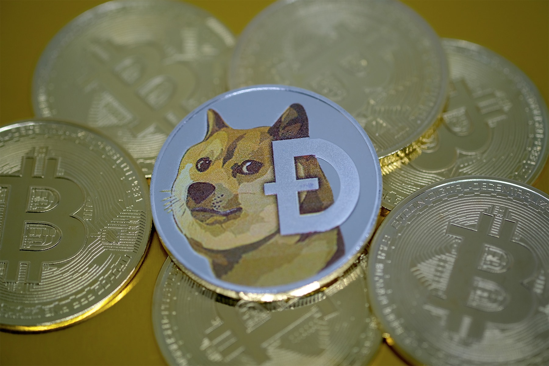 虛擬加密貨幣 Dogecoin 價值大幅成長 800%