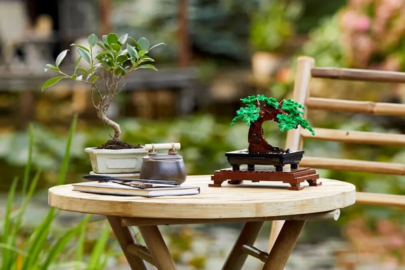 LEGO 植栽花卉系列推出全新「Bonsai Tree 盆景樹」盒組