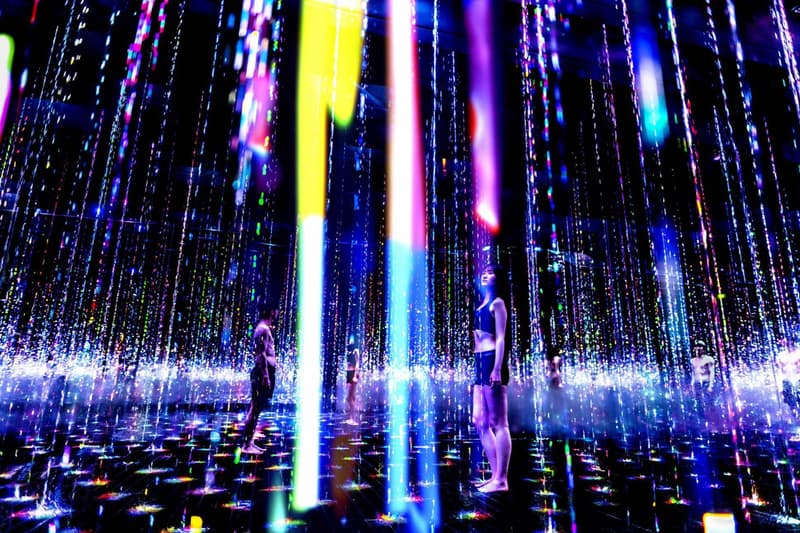 teamLab 打造全新「三溫暖」互動式光影藝展 TikTok teamLab Reconnect