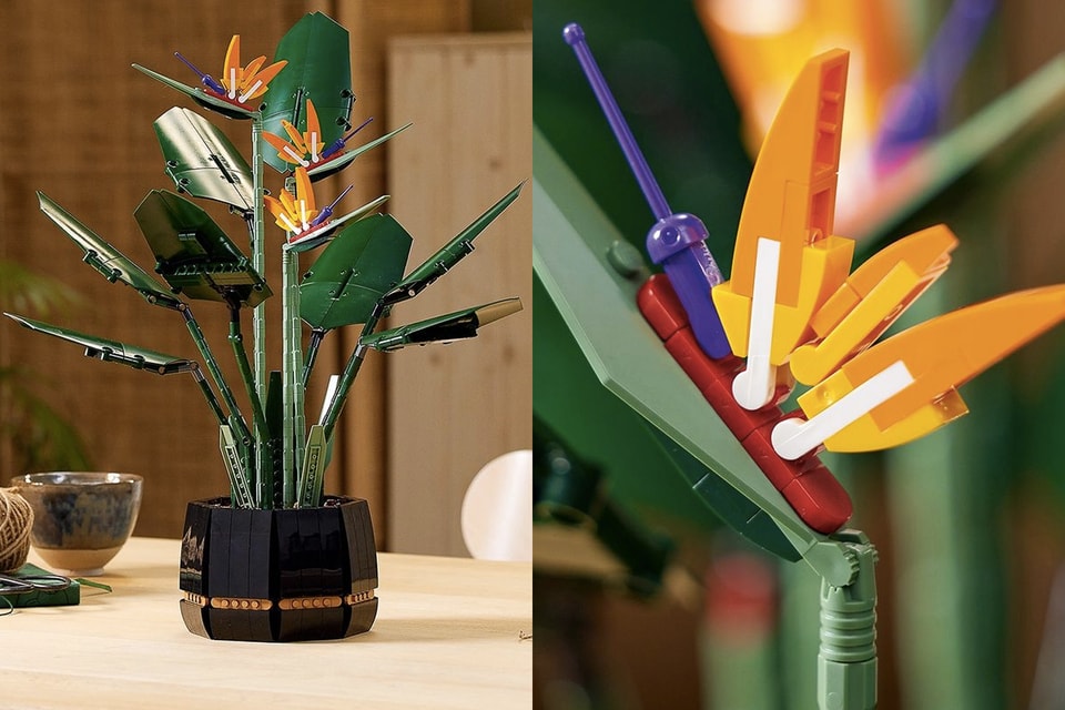 Lego 全新花卉植栽系列 天堂鳥birds Of Paradise 正式登場 Hypebeast Lego 全新花卉植栽系列 天堂鳥birds Of Paradise 正式登場 Hypebeast