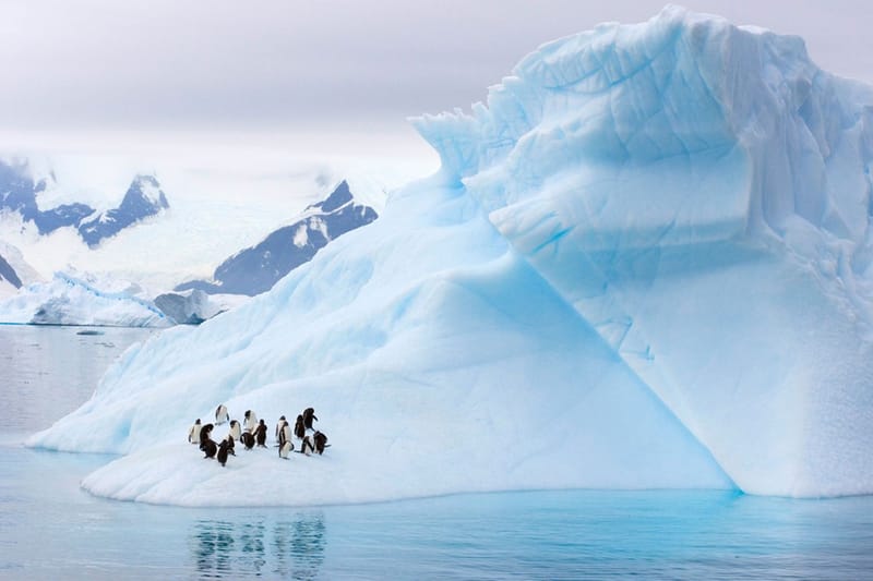 報告顯示南極創紀錄衝破高溫 18 攝氏度