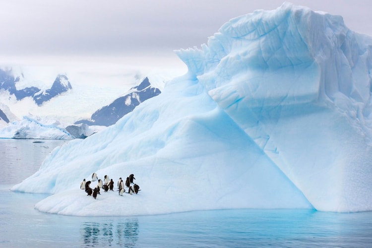 報告顯示南極創紀錄衝破高溫 18 攝氏度