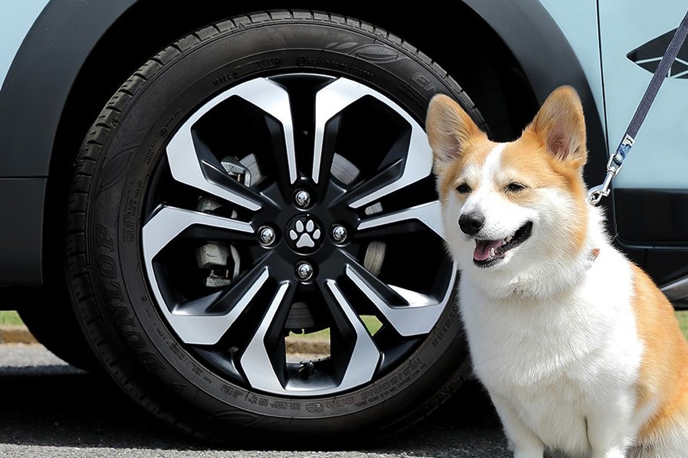 Honda 推出全新寵物主題汽車改裝套件