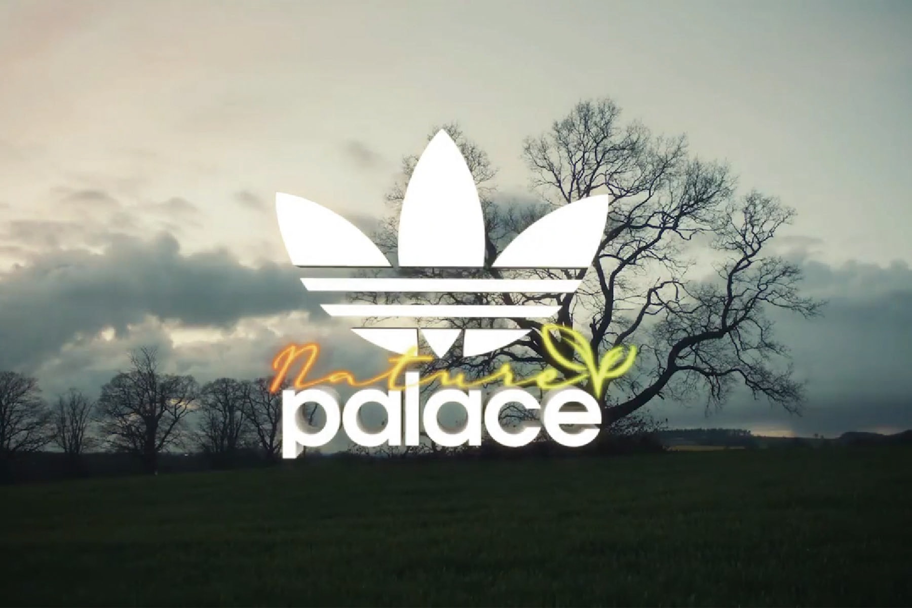 Palace Skateboards 率先發佈與 adidas Originals 最新聯乘預告