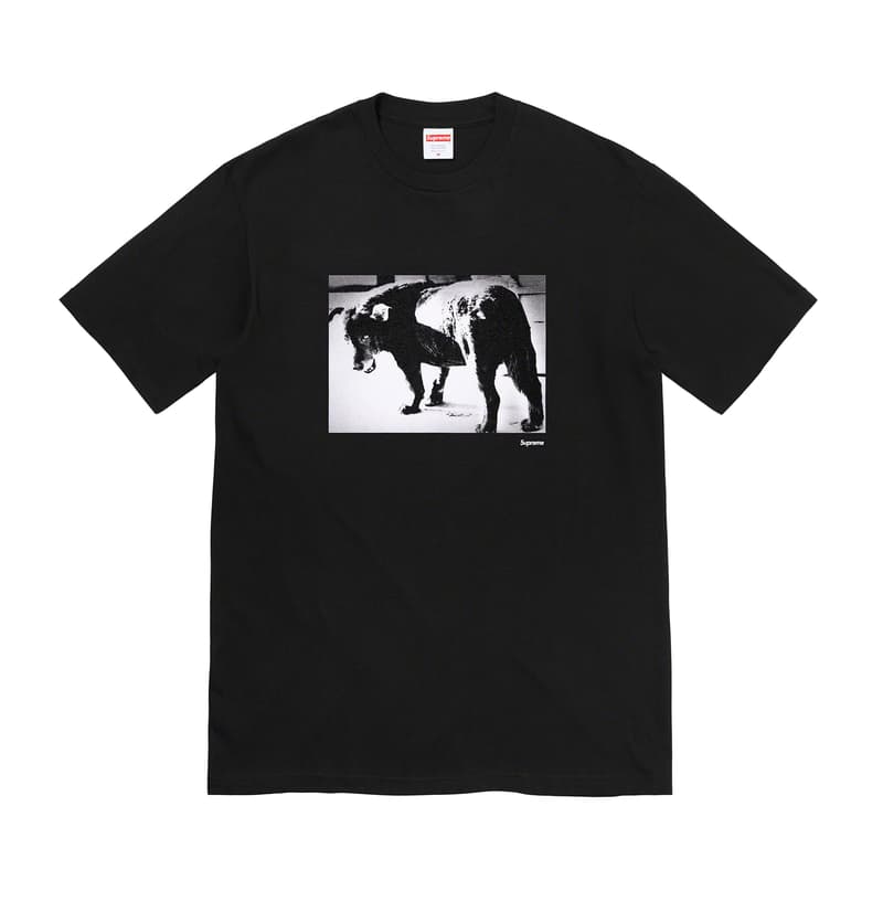 Supreme 2022 夏季 T-Shirt 系列独家首发