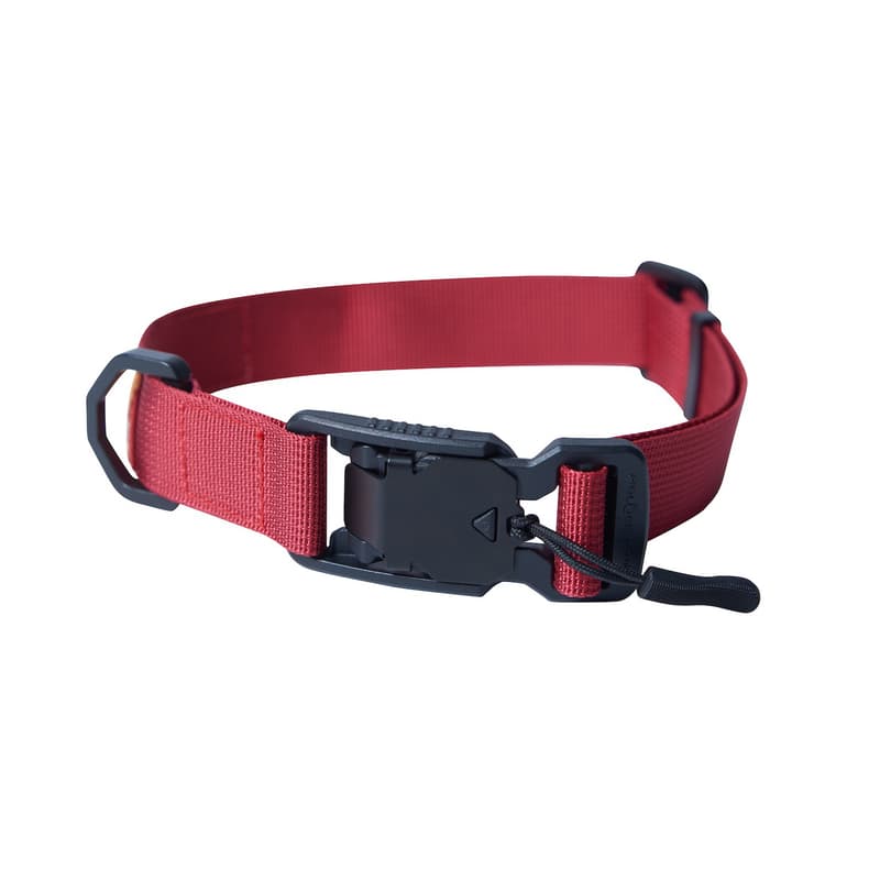 Penfield China 携手 PLAYLOGIC 打造宠物露营系列套装