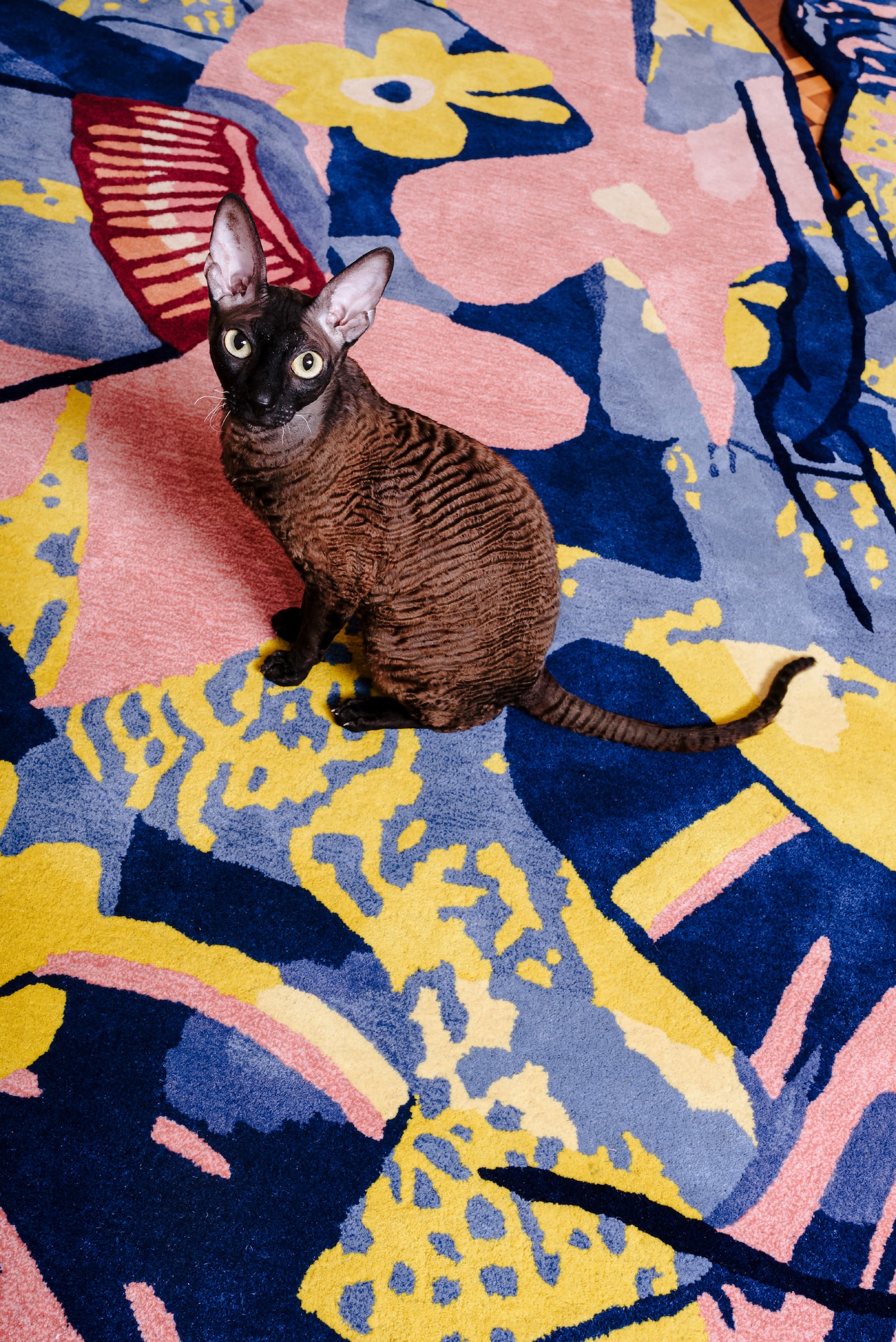 cc-tapis 携手 P.A.M. 呈献「Floordrobe」联名地毯系列
