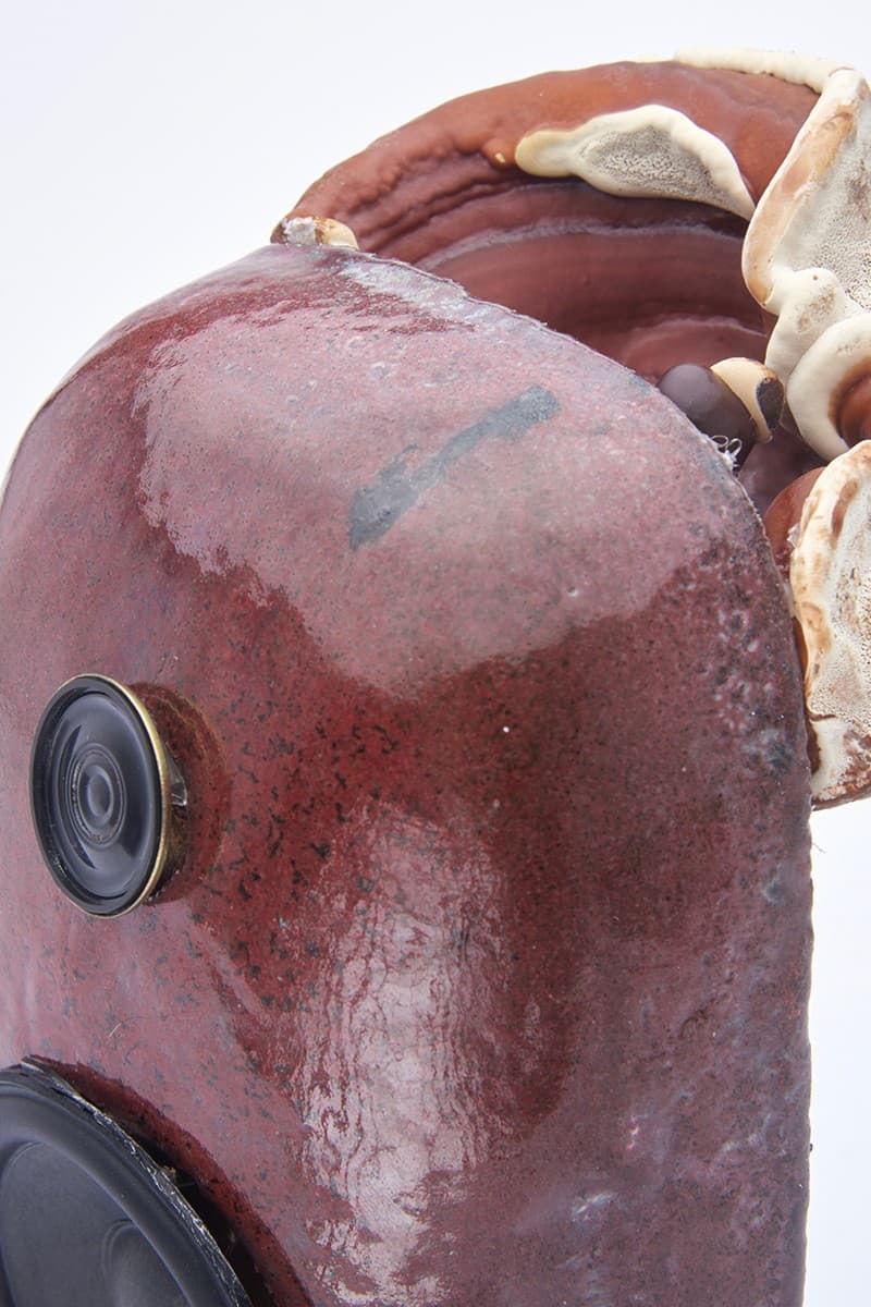 EDEN Power Corp 携手 MYCOAUDIO 推出 Mycelium Mushroom 扬声器