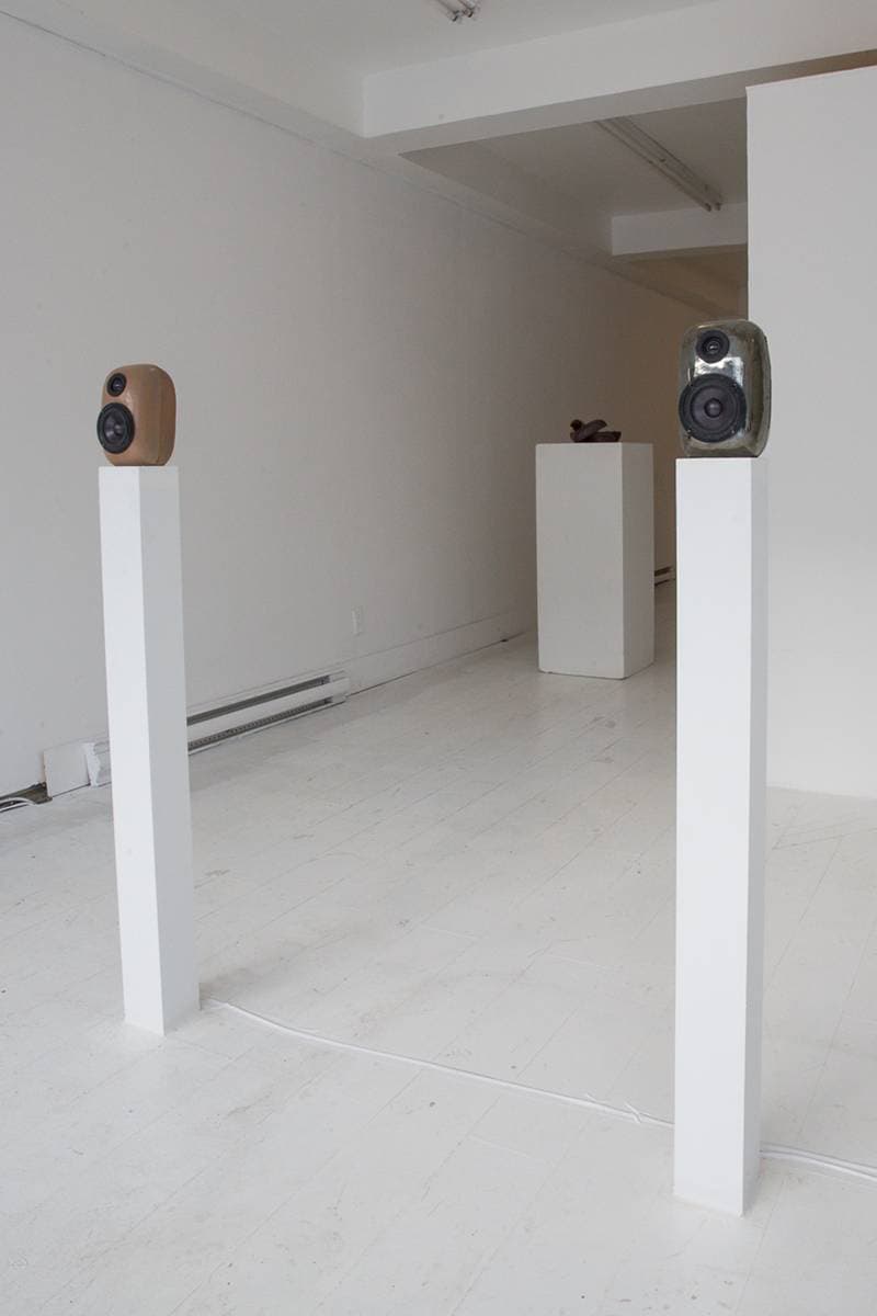 EDEN Power Corp 携手 MYCOAUDIO 推出 Mycelium Mushroom 扬声器