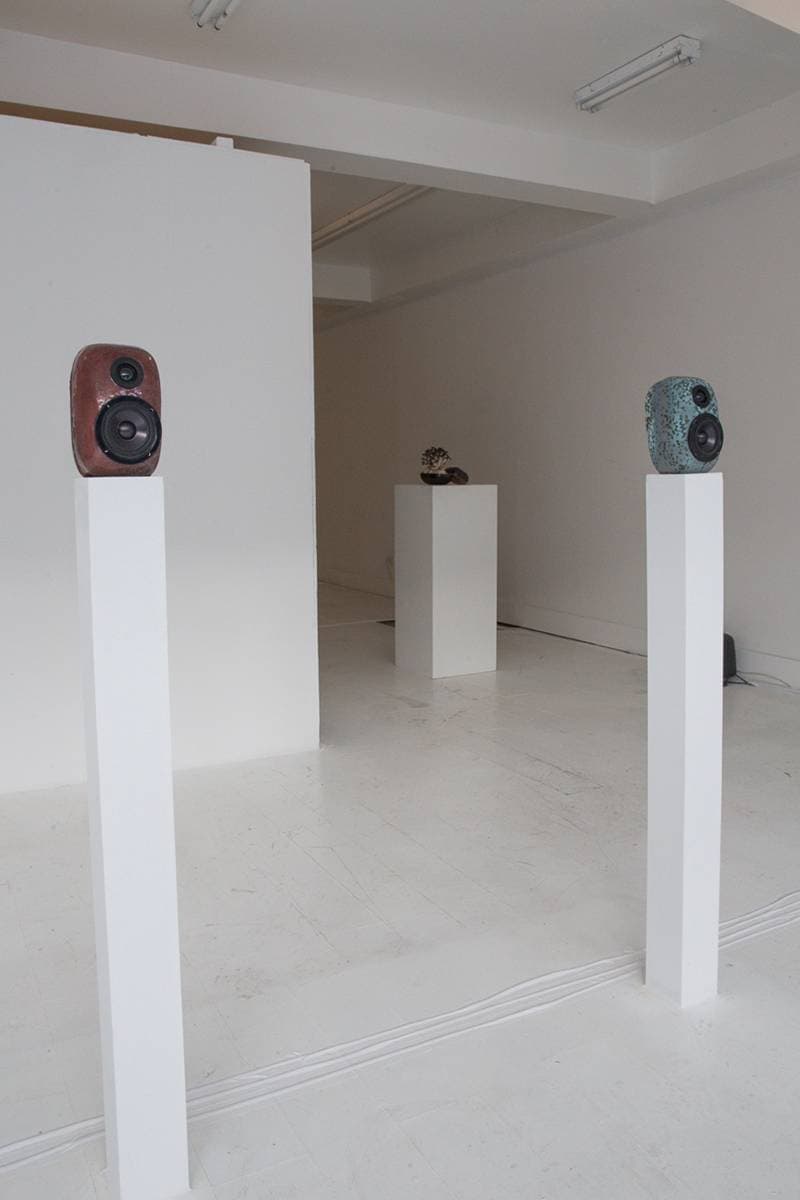 EDEN Power Corp 携手 MYCOAUDIO 推出 Mycelium Mushroom 扬声器